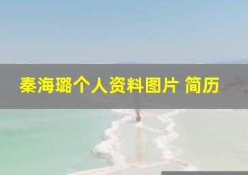 秦海璐个人资料图片 简历